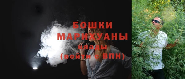 2c-b Гусев