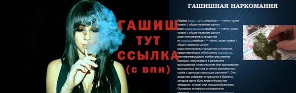 2c-b Гусев