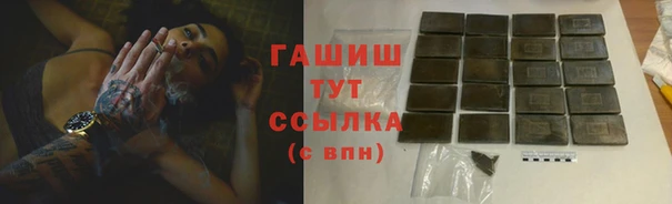 гидропоника Гусиноозёрск