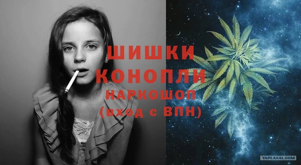 гидропоника Гусиноозёрск