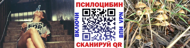 darknet состав  Гусев  Галлюциногенные грибы Cubensis 